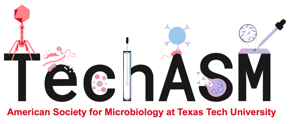 TechASM Lab Sales